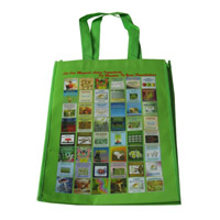 上饶LB11覆膜无纺布广告袋